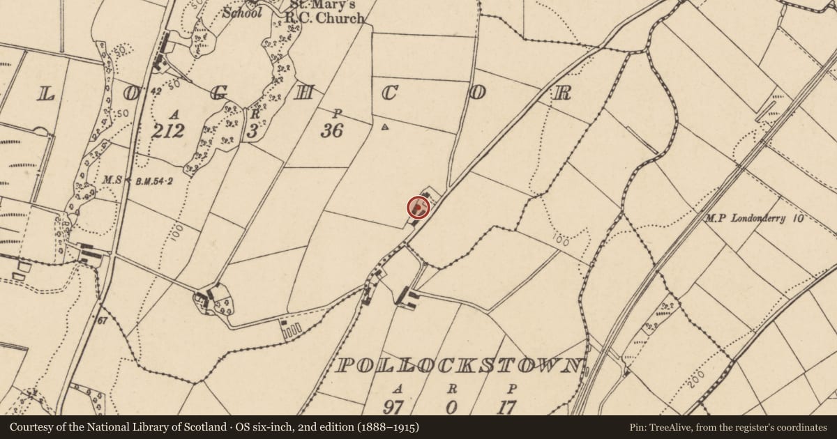 Ordnance Survey six-inch map, 2nd edition (1888–1915) covering the location of 36 Ballyheather Road, Cloghcor, Derry City and Strabane, with a pin at the register's coordinates