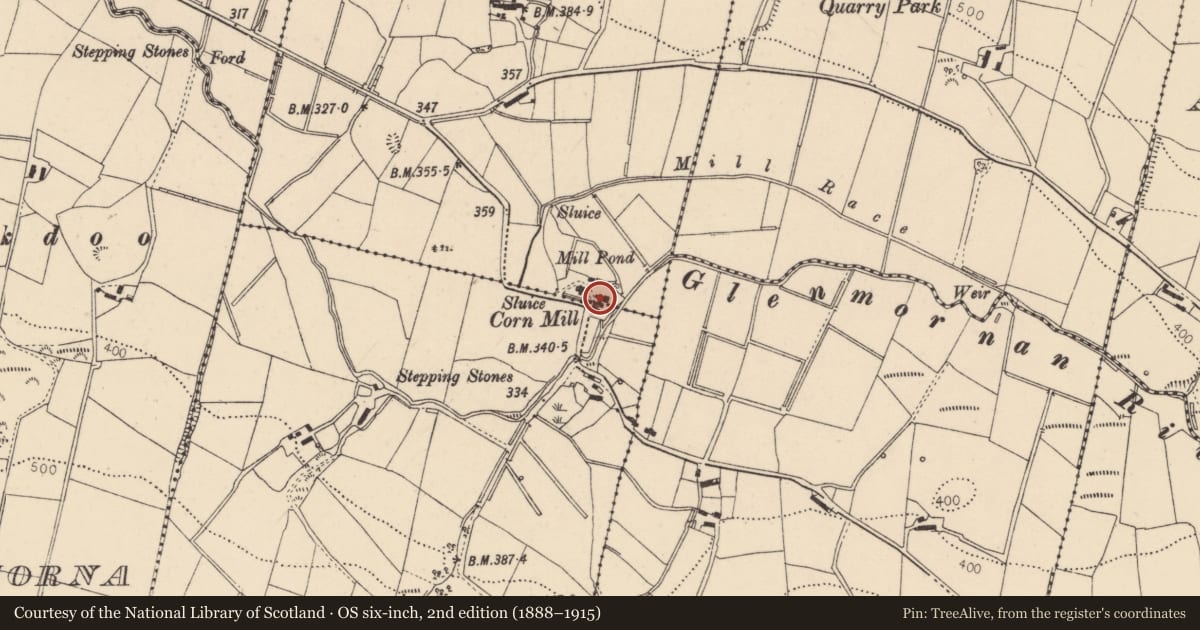 Ordnance Survey six-inch map, 2nd edition (1888–1915) covering the location of Christie's Mill, Fyfin/Knockanbrack, Derry City and Strabane, with a pin at the register's coordinates
