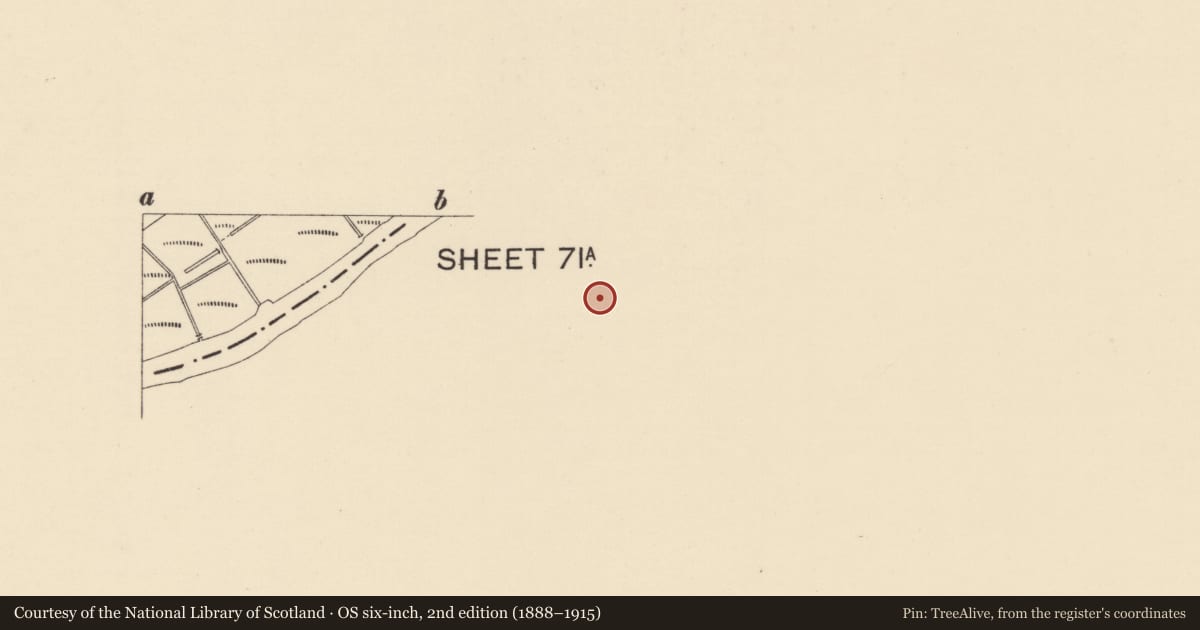Ordnance Survey six-inch map, 2nd edition (1888–1915) covering the location of 4 Abercorn Square, Strabane, Co Tyrone BT82 8AN, Derry City and Strabane, with a pin at the register's coordinates