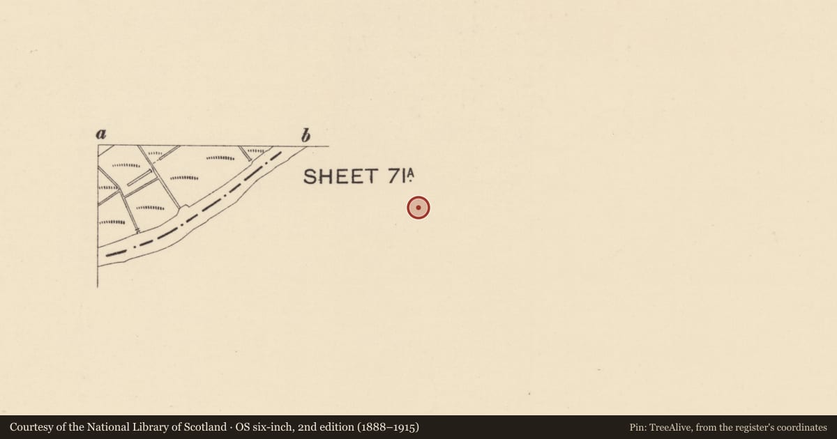 Ordnance Survey six-inch map, 2nd edition (1888–1915) covering the location of 2 Abercorn Square, Strabane, Co Tyrone, BT82 8AN, Derry City and Strabane, with a pin at the register's coordinates