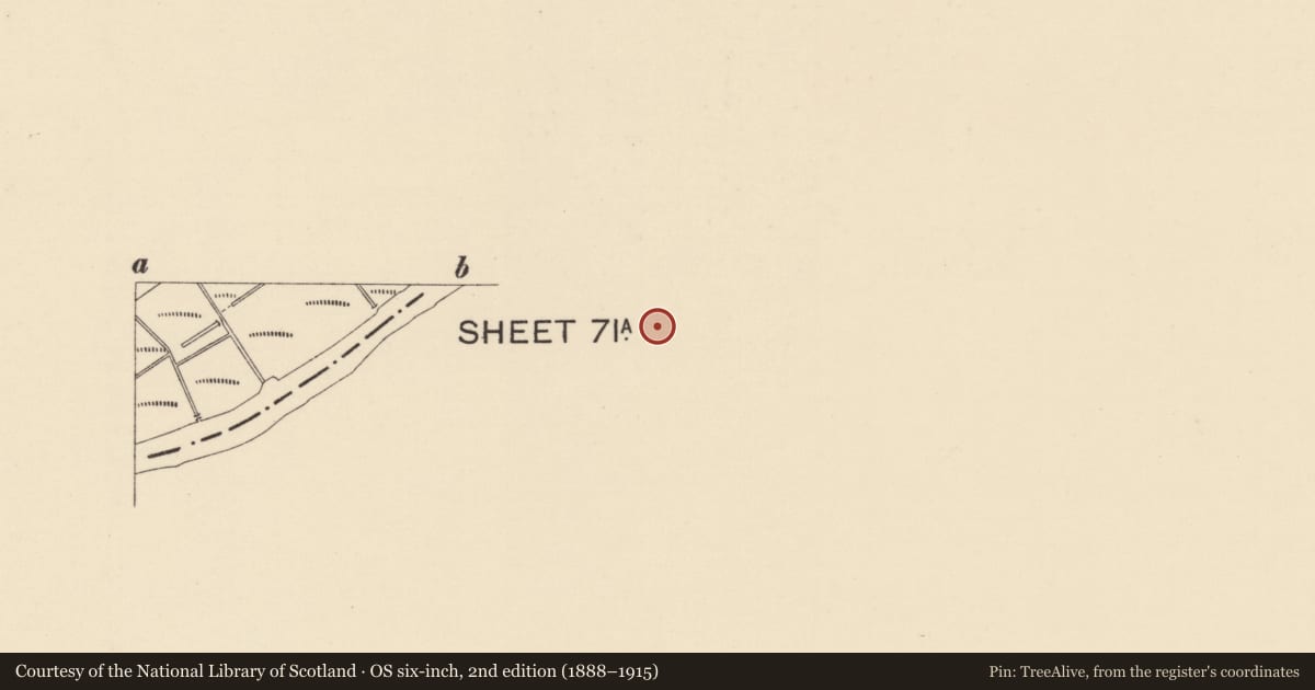 Ordnance Survey six-inch map, 2nd edition (1888–1915) covering the location of Ulster Bank, 29 Abercorn Square, Strabane, Co Tyrone BT82 8AQ, Derry City and Strabane, with a pin at the register's coordinates