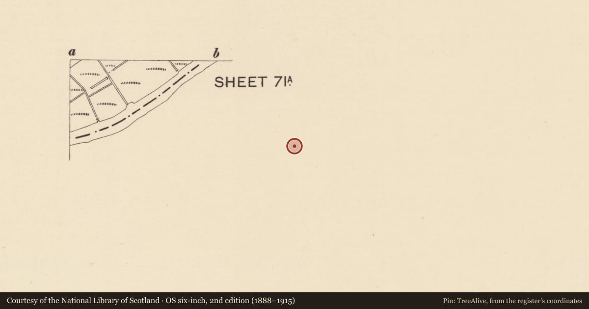 Ordnance Survey six-inch map, 2nd edition (1888–1915) covering the location of Gray's Stationery Shop (and Printing Presses), Town Parks of Strabane, Derry City and Strabane, with a pin at the register's coordinates