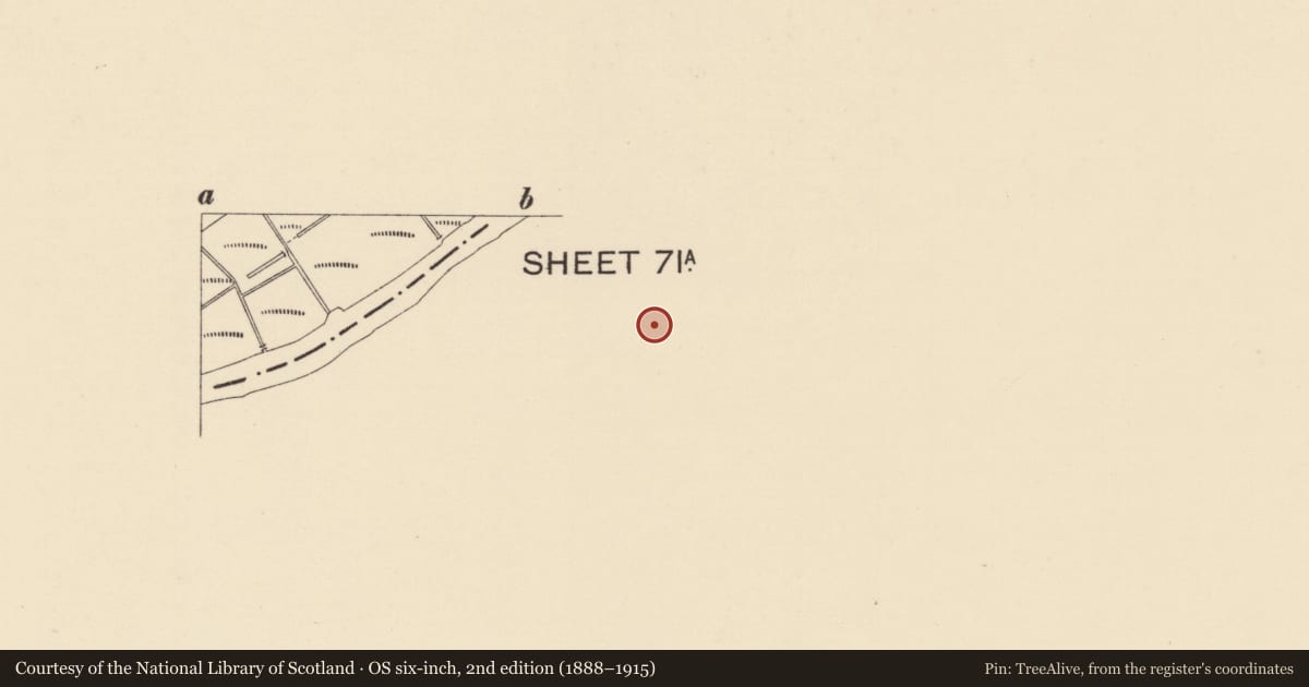 Ordnance Survey six-inch map, 2nd edition (1888–1915) covering the location of 12 Castle Street, Strabane, Co Tyrone, Derry City and Strabane, with a pin at the register's coordinates