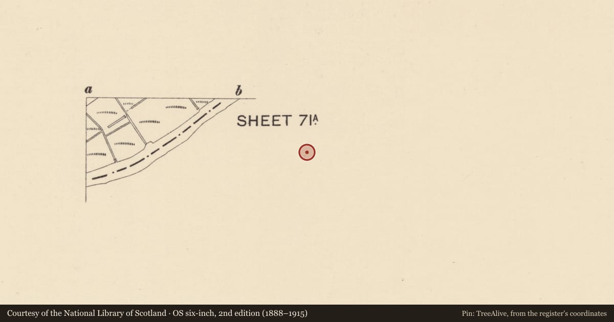 Ordnance Survey six-inch map, 2nd edition (1888–1915) covering the location of Trustee Savings Bank, Town Parks of Strabane, Derry City and Strabane, with a pin at the register's coordinates