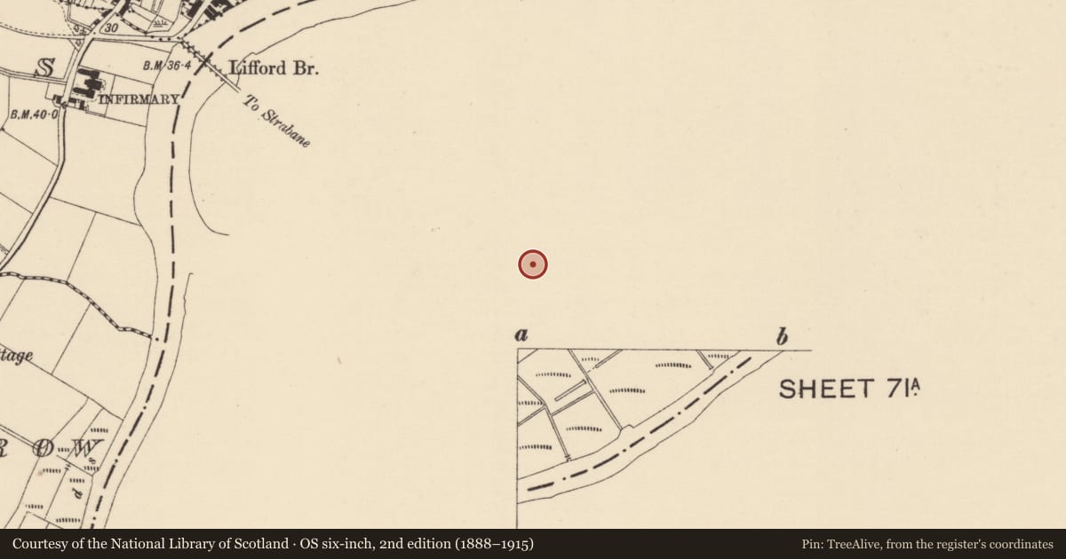 Ordnance Survey six-inch map, 2nd edition (1888–1915) covering the location of Mourne Bridge over Mourne River, West Ward, Strabane, Co Tyrone, Derry City and Strabane, with a pin at the register's coordinates