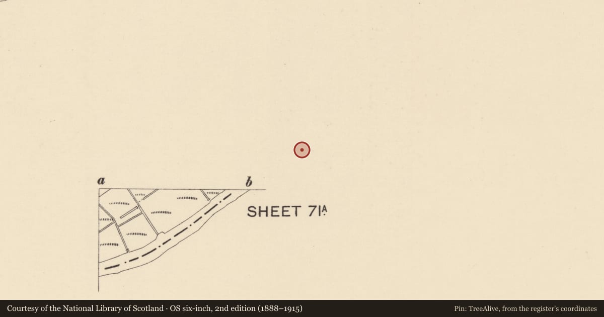 Ordnance Survey six-inch map, 2nd edition (1888–1915) covering the location of Strabane Canal Basin, Dock Street/Canal Street, Strabane, Co Tyrone, Derry City and Strabane, with a pin at the register's coordinates