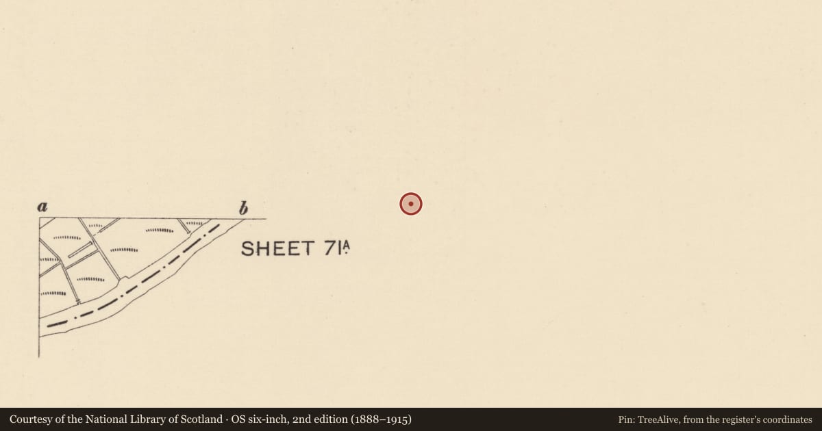Ordnance Survey six-inch map, 2nd edition (1888–1915) covering the location of House, 18 Newtown Street, Strabane, Co Tyrone BT82 8DN, Derry City and Strabane, with a pin at the register's coordinates