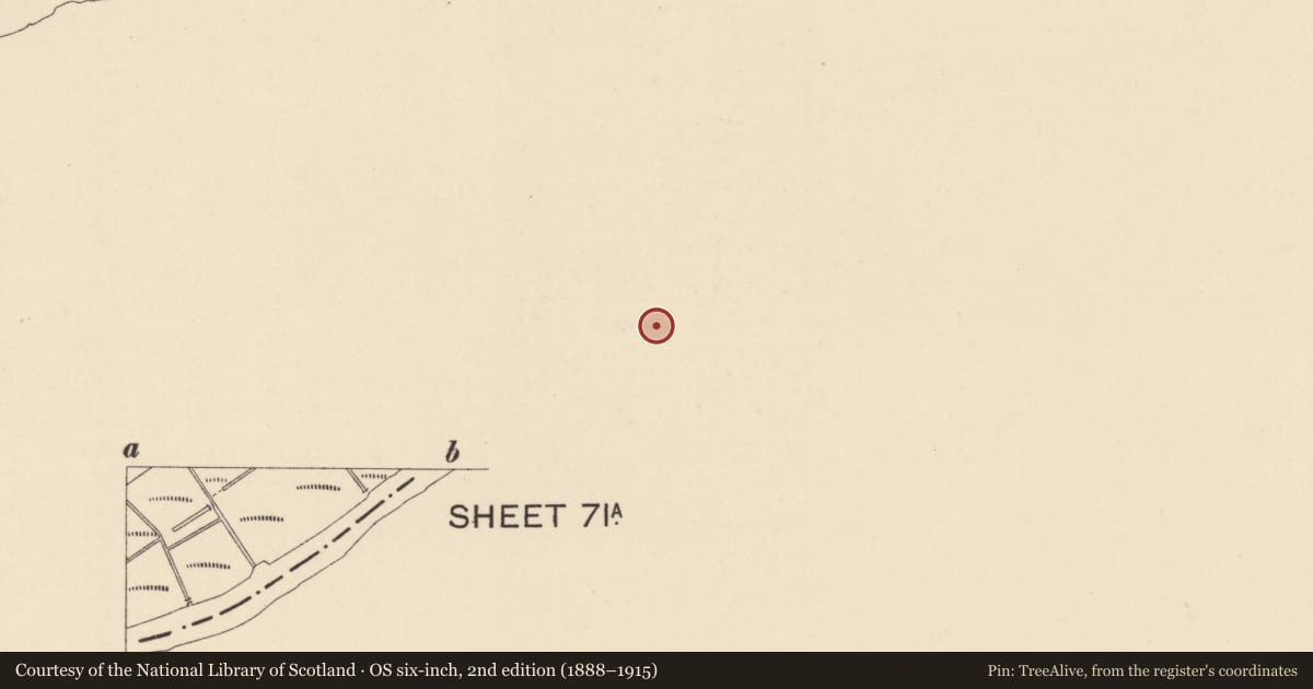 Ordnance Survey six-inch map, 2nd edition (1888–1915) covering the location of 'Hazelwood', Derry Road, Strabane, Co Tyrone BT82 8DX, Derry City and Strabane, with a pin at the register's coordinates