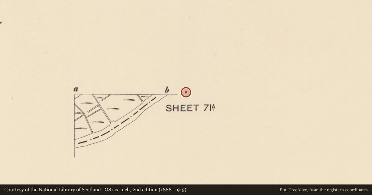 Ordnance Survey six-inch map, 2nd edition (1888–1915) covering the location of Methodist Church, Strabane, Derry City and Strabane, with a pin at the register's coordinates