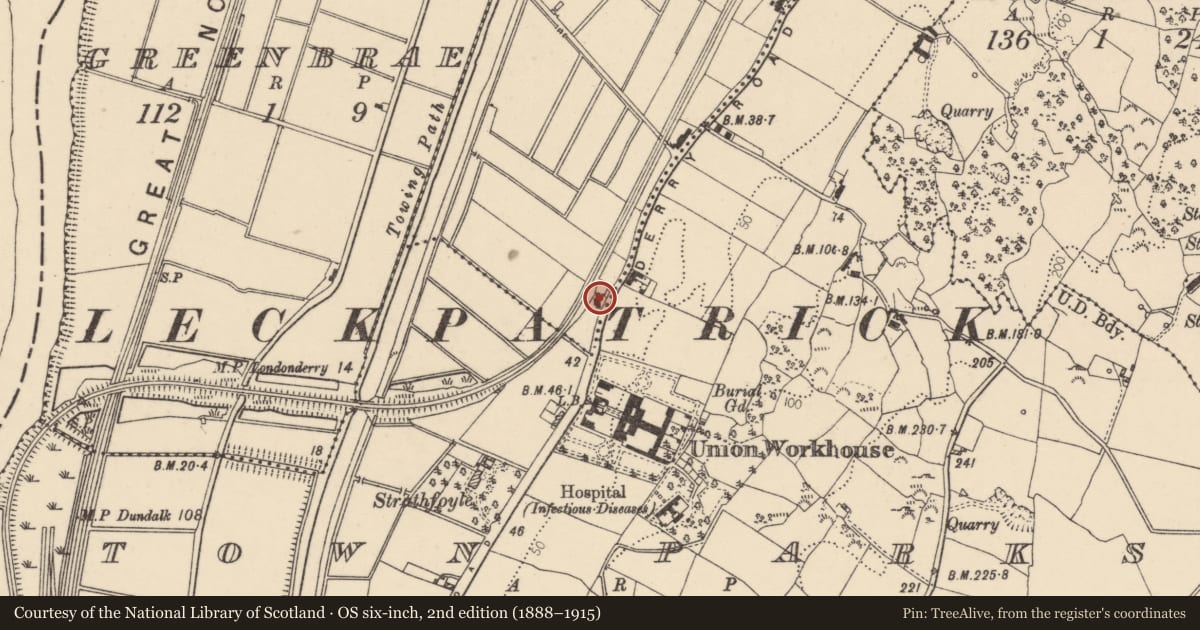 Ordnance Survey six-inch map, 2nd edition (1888–1915) covering the location of "Old Woodview", Derry Road, Strabane, Co Tyrone, BT82 8DX, Derry City and Strabane, with a pin at the register's coordinates