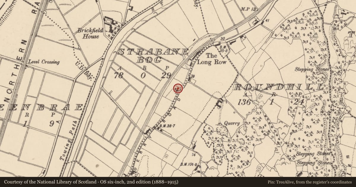 Ordnance Survey six-inch map, 2nd edition (1888–1915) covering the location of Derry Road, Strabane, Co Tyrone, Derry City and Strabane, with a pin at the register's coordinates
