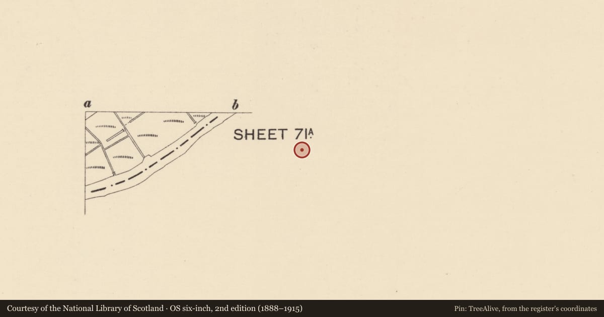 Ordnance Survey six-inch map, 2nd edition (1888–1915) covering the location of Royal Mail, Town Parks of Strabane, Derry City and Strabane, with a pin at the register's coordinates