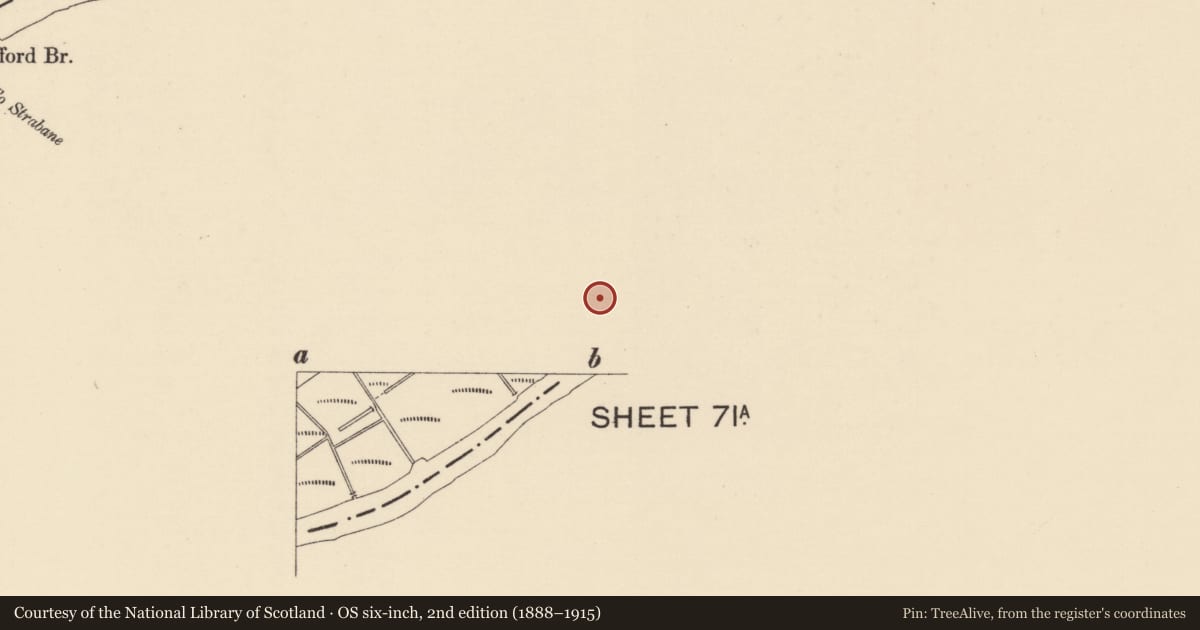 Ordnance Survey six-inch map, 2nd edition (1888–1915) covering the location of Shed next to public house, 23-25 Railway Street, Strabane, Co Tyrone, BT82 8EG, Town Parks, Derry City and Strabane, with a pin at the register's coordinates