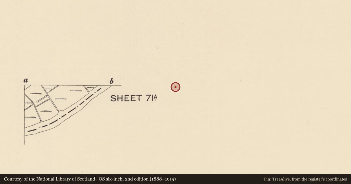 Ordnance Survey six-inch map, 2nd edition (1888–1915) covering the location of 5 Newtown Street, Strabane, Co Tyrone, BT82 8DN, Town Parks of Strabane, Derry City and Strabane, with a pin at the register's coordinates