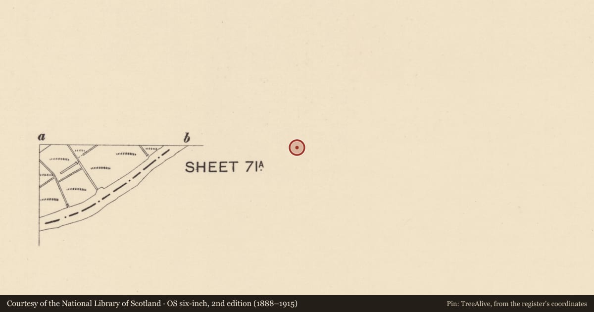 Ordnance Survey six-inch map, 2nd edition (1888–1915) covering the location of 7 Newtown Street, Strabane, Co Tyrone BT82 8DN, Town Parks of Strabane, Derry City and Strabane, with a pin at the register's coordinates