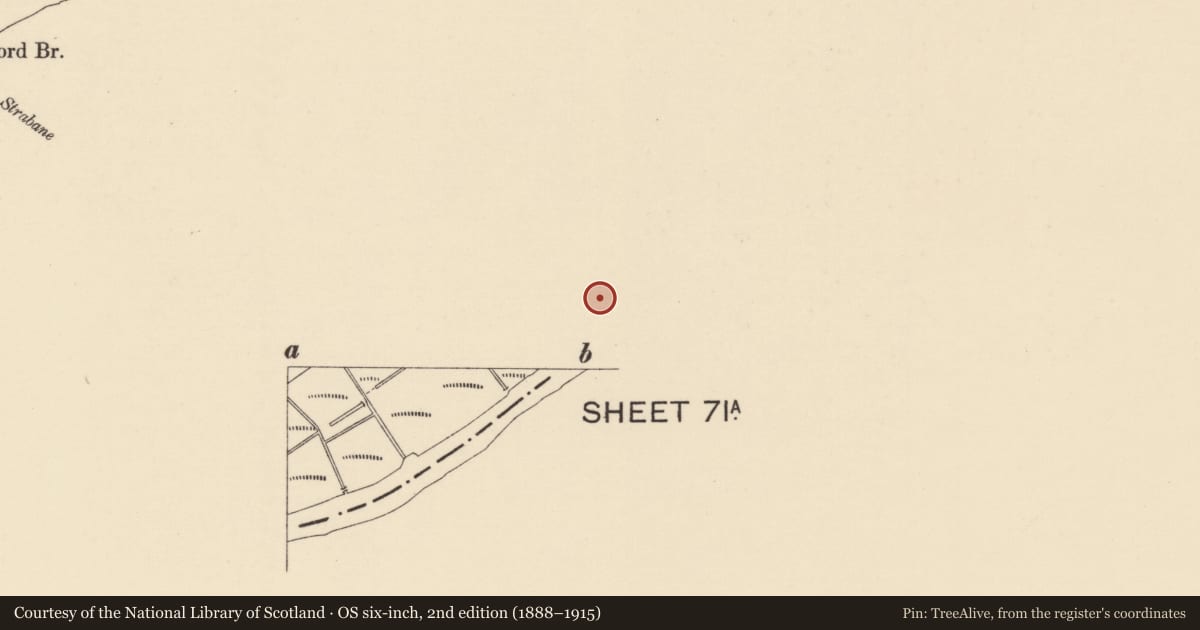 Ordnance Survey six-inch map, 2nd edition (1888–1915) covering the location of The Farmers Home, Town Parks of Strabane, Derry City and Strabane, with a pin at the register's coordinates