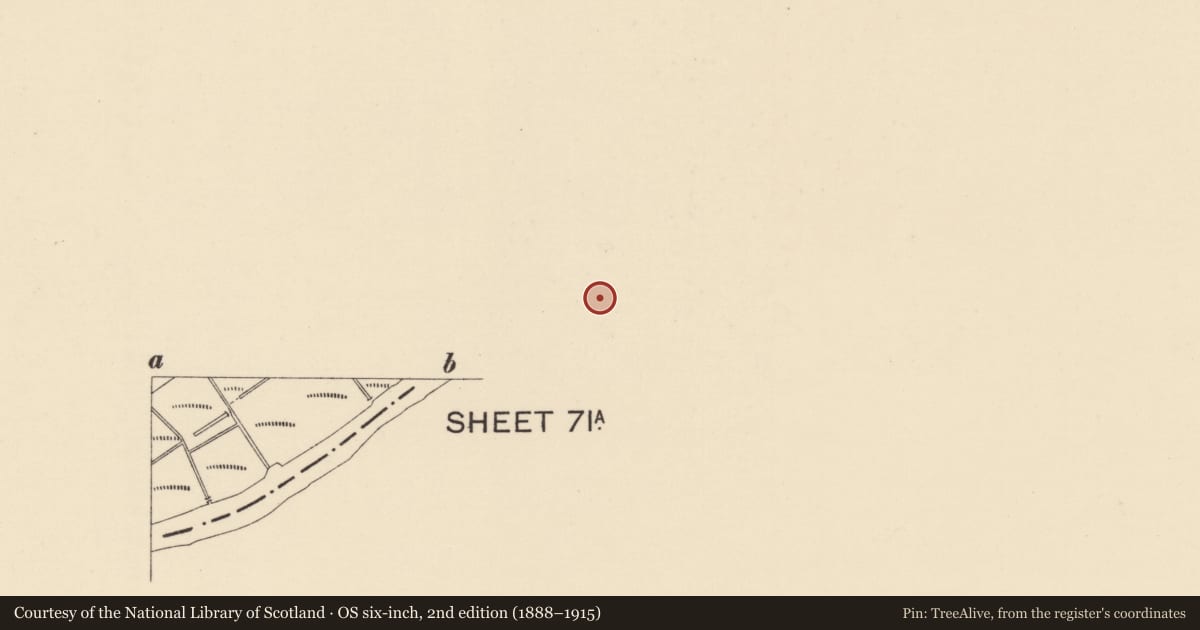 Ordnance Survey six-inch map, 2nd edition (1888–1915) covering the location of Warehouse Buildings, 12-16 Derry Road, Strabane, Co Tyrone, BT82 8DX, Derry City and Strabane, with a pin at the register's coordinates