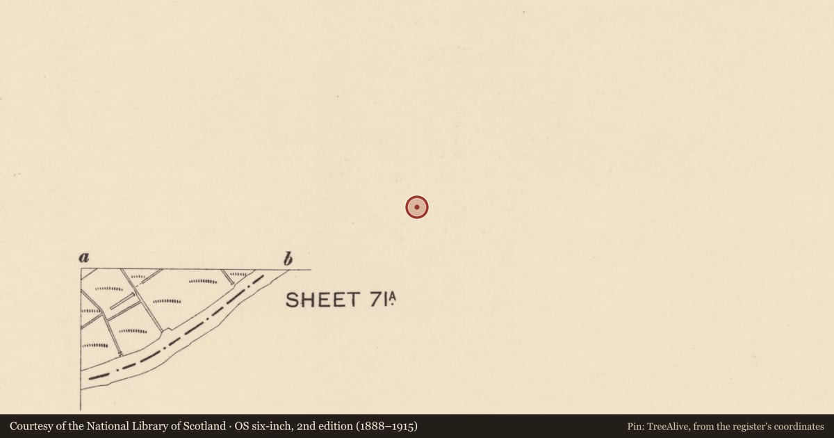 Ordnance Survey six-inch map, 2nd edition (1888–1915) covering the location of Strabane Court House, Derry Road, Strabane, Co Tyrone BT82 8DT, Town Parks of Strabane, Derry City and Strabane, with a pin at the register's coordinates
