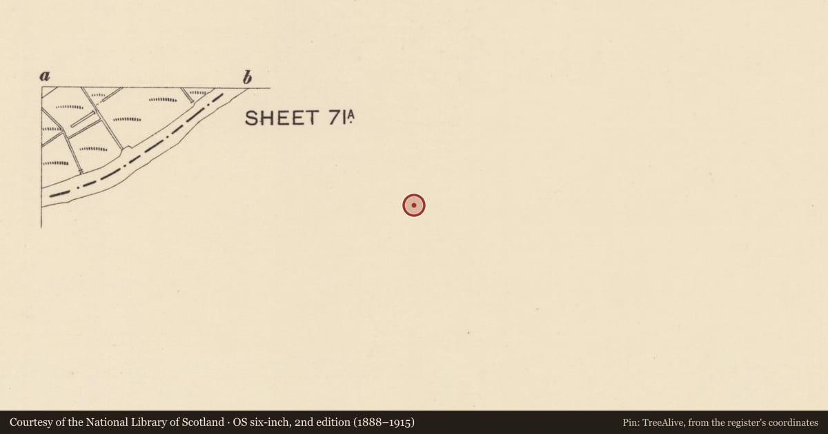 Ordnance Survey six-inch map, 2nd edition (1888–1915) covering the location of No 3 & 5 Bowling Green, Strabane, Co Tyrone, BT82 8BW, Derry City and Strabane, with a pin at the register's coordinates