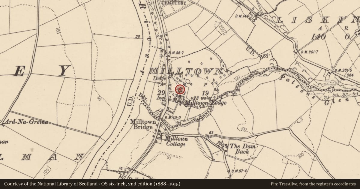 Ordnance Survey six-inch map, 2nd edition (1888–1915) covering the location of Strabane Grammar School, 4 Liskey Road, Miltown, Strabane, Co Tyrone, Milltown, Derry City and Strabane, with a pin at the register's coordinates