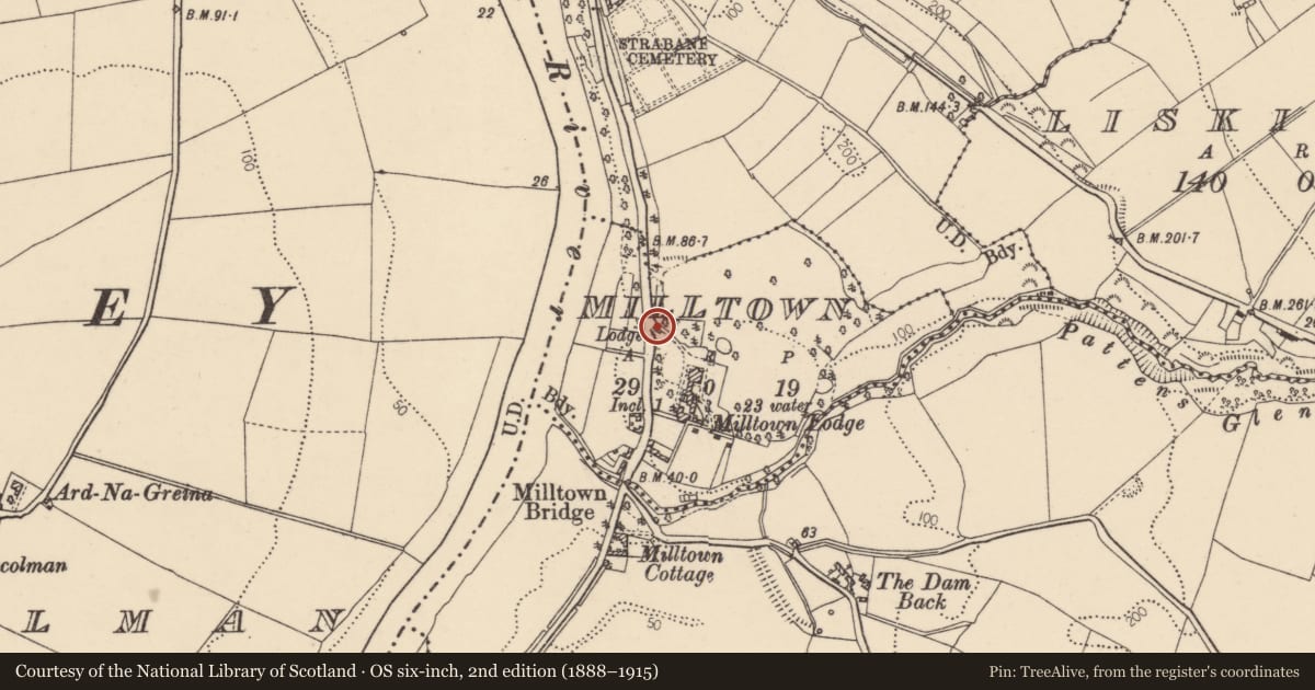 Ordnance Survey six-inch map, 2nd edition (1888–1915) covering the location of 'Lodge' at Strabane Grammar School, 4 Liskey Road, Milltown, Strabane, Co Tyrone BT82 8NW, Derry City and Strabane, with a pin at the register's coordinates