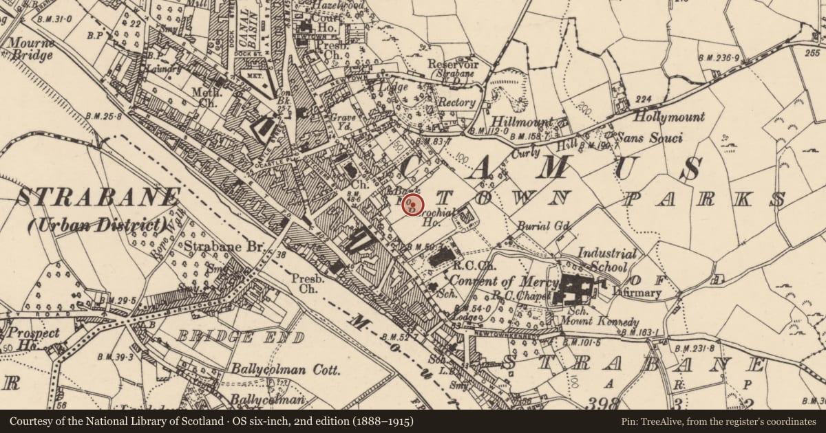 Ordnance Survey six-inch map, 2nd edition (1888–1915) covering the location of 17 Bowling Green, Strabane, Co Tyrone BT82 8BW, Town Parks of Strabane, Derry City and Strabane, with a pin at the register's coordinates