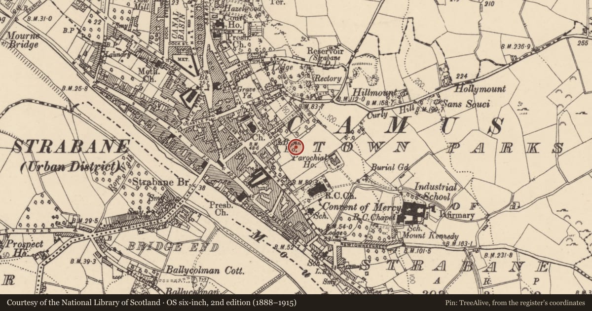 Ordnance Survey six-inch map, 2nd edition (1888–1915) covering the location of 19 Bowling Green, Strabane, Co Tyrone BT82 8BW, Town Parks of Strabane, Derry City and Strabane, with a pin at the register's coordinates