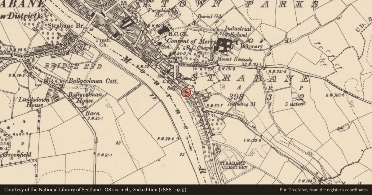 Ordnance Survey six-inch map, 2nd edition (1888–1915) covering the location of Site of former no.29 Townsend Street, Strabane, Co Tyrone, Town Parks of Strabane, Derry City and Strabane, with a pin at the register's coordinates