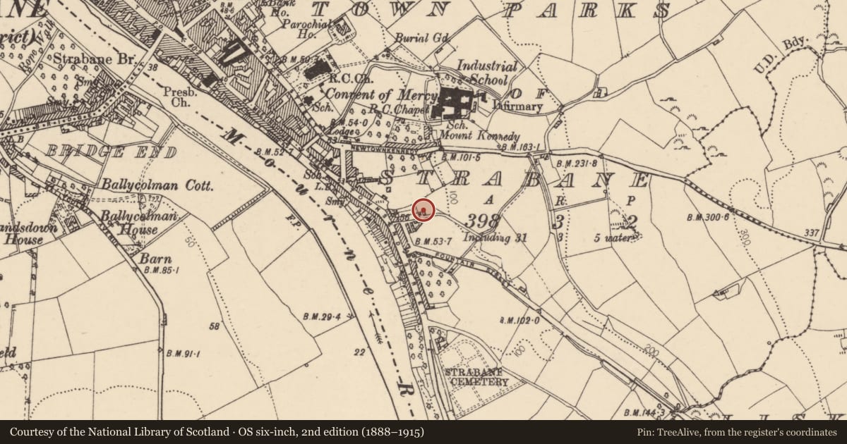 Ordnance Survey six-inch map, 2nd edition (1888–1915) covering the location of Site of former no.54 Townsend Street, Strabane, Co Tyrone, Town Parks of Strabane, Derry City and Strabane, with a pin at the register's coordinates