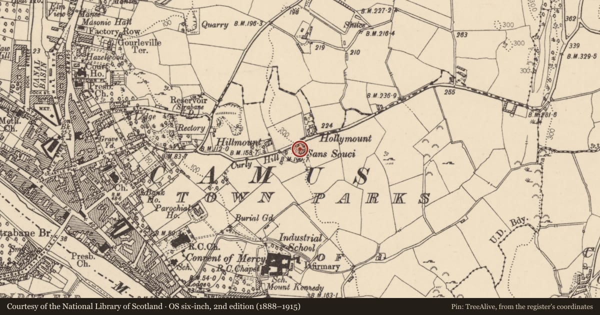 Ordnance Survey six-inch map, 2nd edition (1888–1915) covering the location of 'The Hill' 11 Curlyhill Road, Strabane, Co Tyrone BT82 8LP, Town Parks of Strabane, Derry City and Strabane, with a pin at the register's coordinates