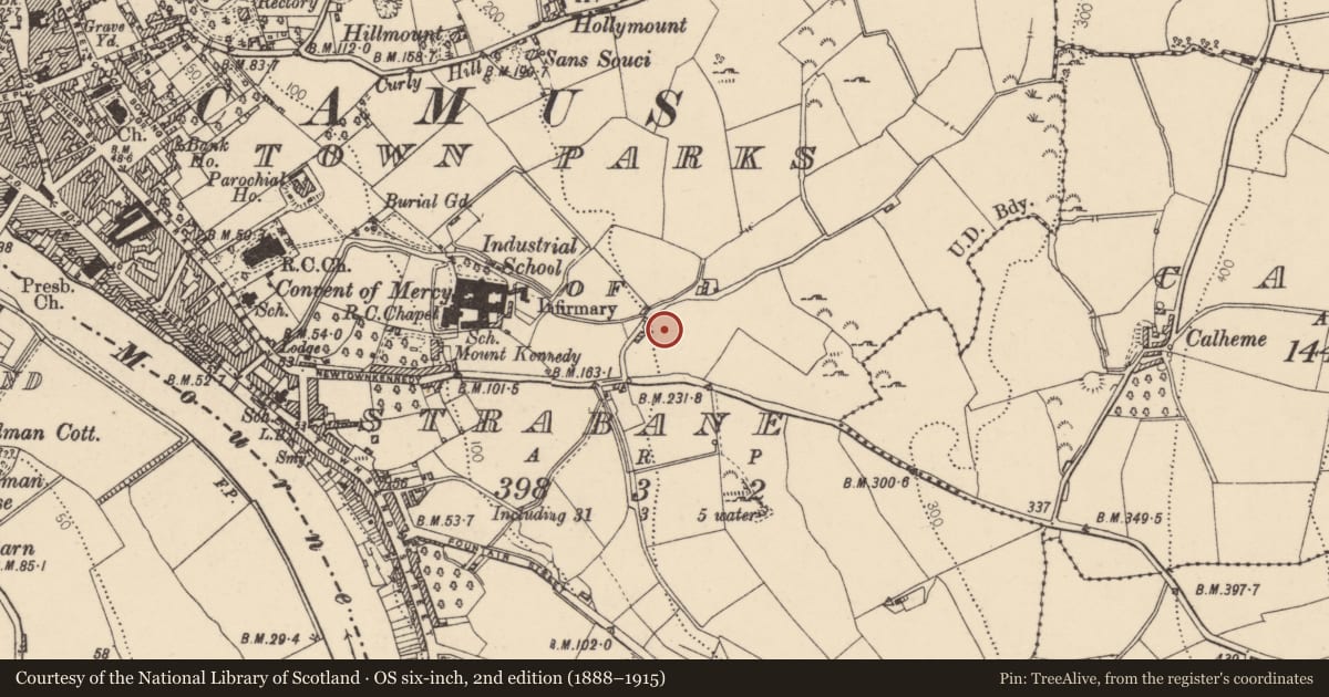 Ordnance Survey six-inch map, 2nd edition (1888–1915) covering the location of Site of former house and outbuildings off Newtownkennedy, Strabane, Co Tyrone, Town Parks of Strabane, Derry City and Strabane, with a pin at the register's coordinates