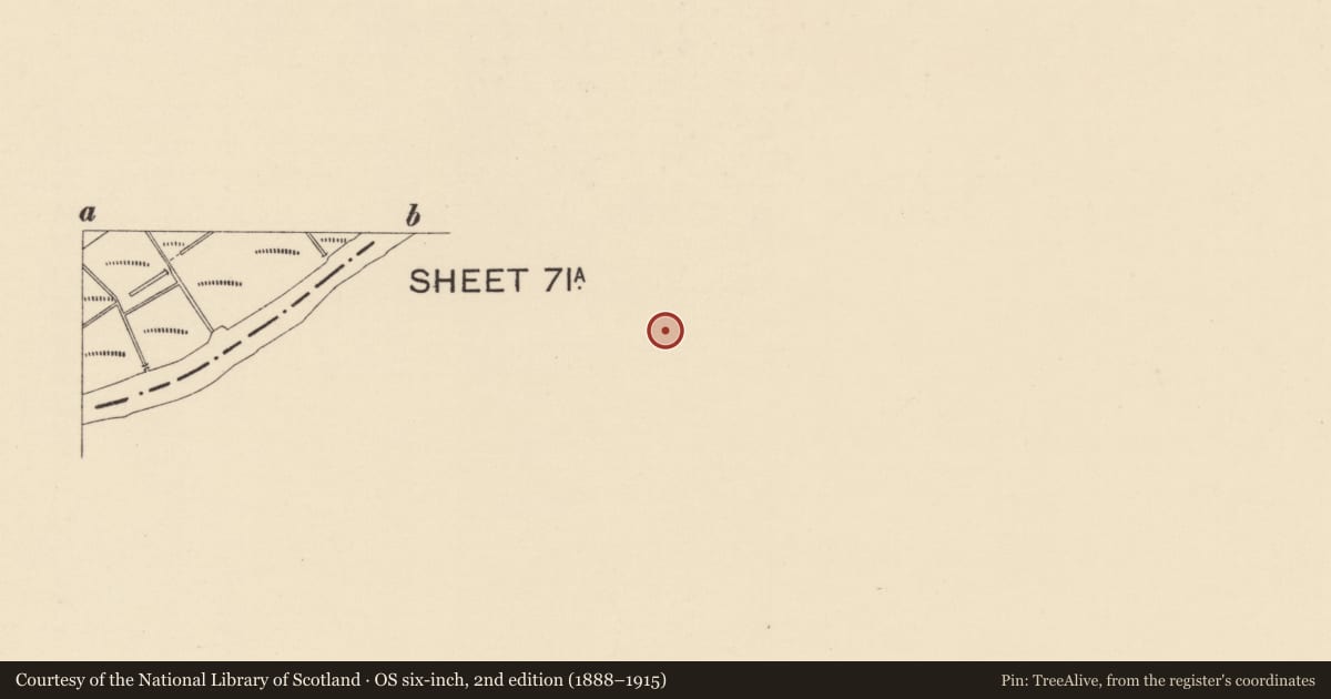 Ordnance Survey six-inch map, 2nd edition (1888–1915) covering the location of 7 Church Street, Strabane, Co Tyrone BT82 8BS, Town Parks of Strabane, Derry City and Strabane, with a pin at the register's coordinates