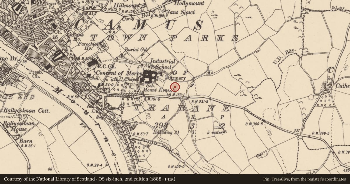 Ordnance Survey six-inch map, 2nd edition (1888–1915) covering the location of Our Lady of Mercy Secondary School, Newtownkennedy/Springhill, Strabane, Co Tyrone, BT82 8NQ, Town Parks of Strabane, Derry City and Strabane, with a pin at the register's coordinates