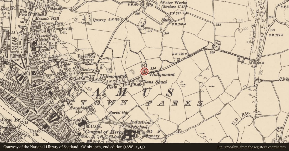 Ordnance Survey six-inch map, 2nd edition (1888–1915) covering the location of 22 Curly Hill Road, Strabane, Co Tyrone BT82 8LP, Town Parks of Strabane, Derry City and Strabane, with a pin at the register's coordinates