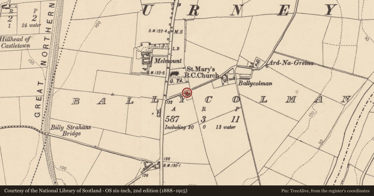 Ordnance Survey six-inch map, 2nd edition (1888–1915) covering the location of House, Ballycolman Road, Strabane, Co Tyrone BT82 9AQ, Derry City and Strabane, with a pin at the register's coordinates
