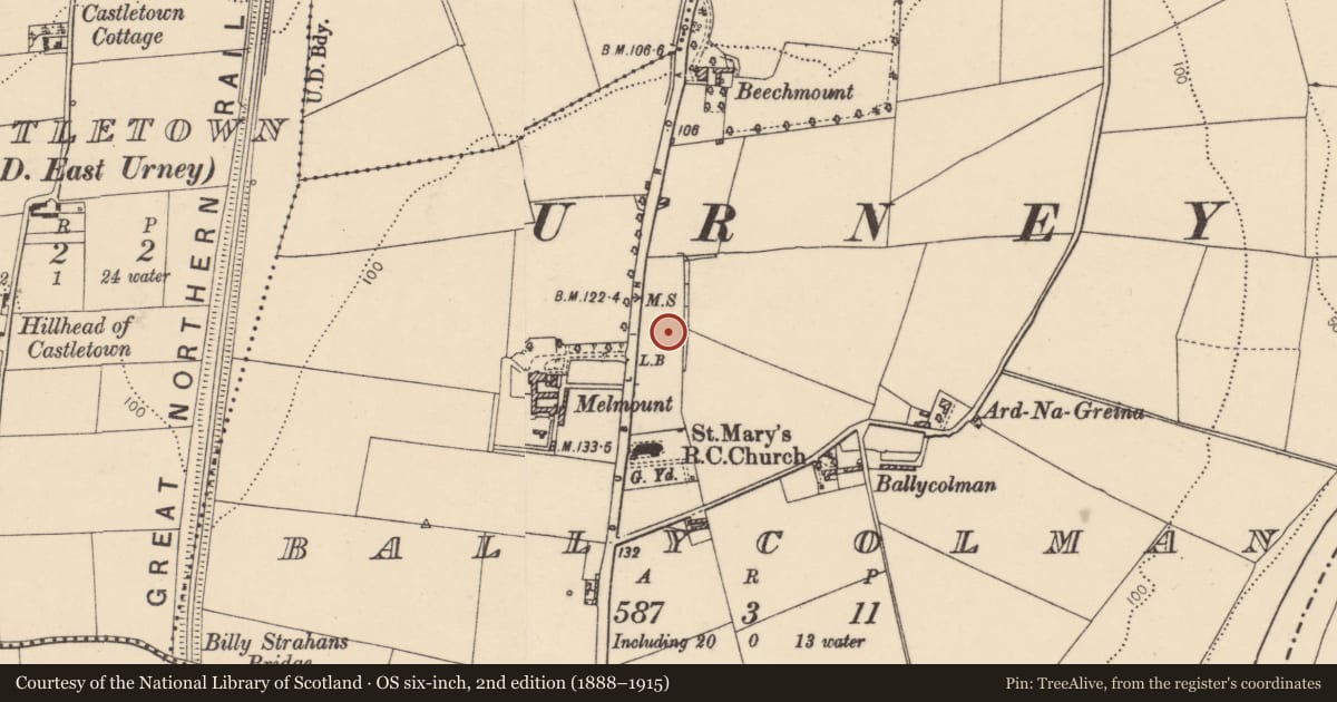 Ordnance Survey six-inch map, 2nd edition (1888–1915) covering the location of St Mary's Boys Primary School, 32 Melmount Road, Strabane, Co Tyrone BT82 9EE, Derry City and Strabane, with a pin at the register's coordinates