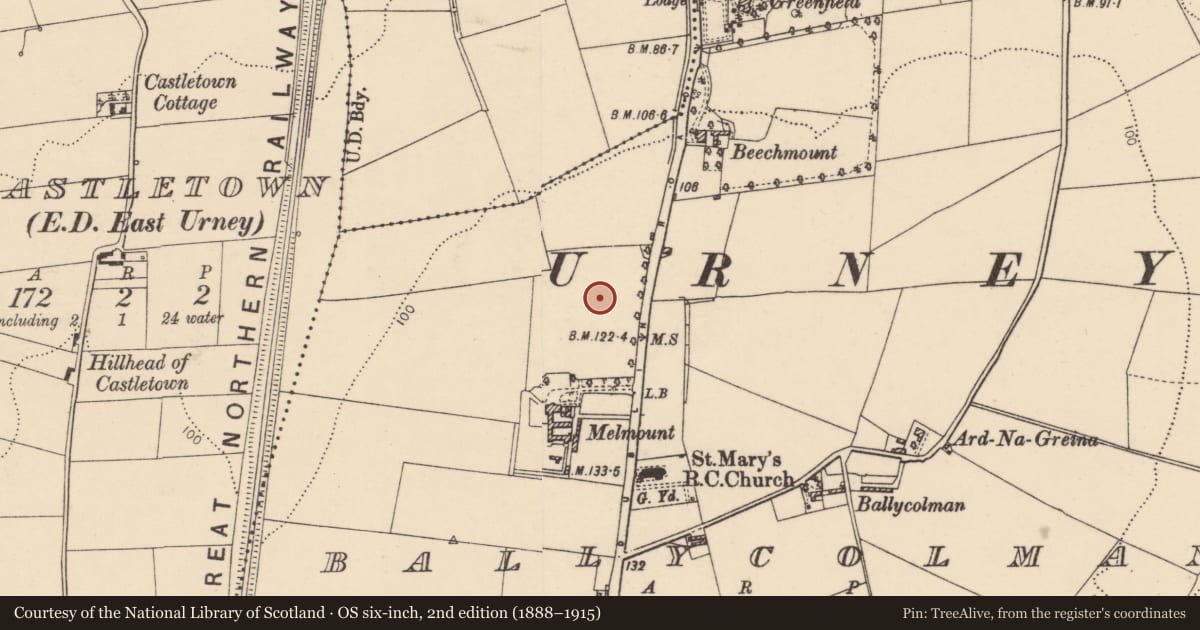 Ordnance Survey six-inch map, 2nd edition (1888–1915) covering the location of St Colman's High School, 67 Melmount Road, Strabane, Co Tyrone BT82 9PX, Derry City and Strabane, with a pin at the register's coordinates