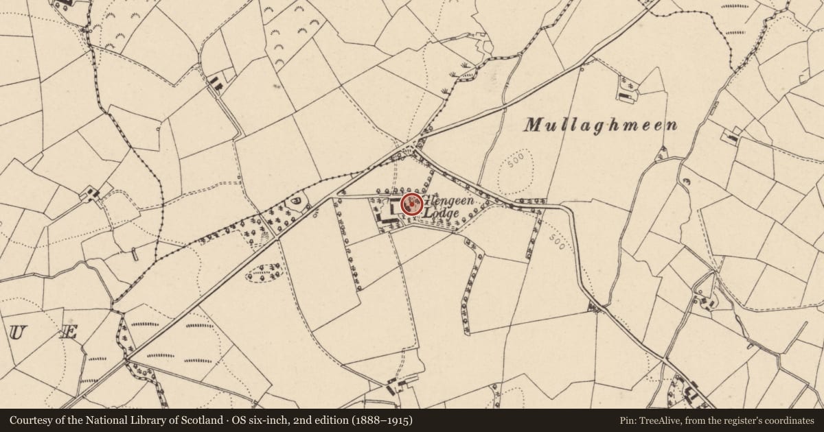 Ordnance Survey six-inch map, 2nd edition (1888–1915) covering the location of Glengeen Lodge, Fermanagh and Omagh, with a pin at the register's coordinates