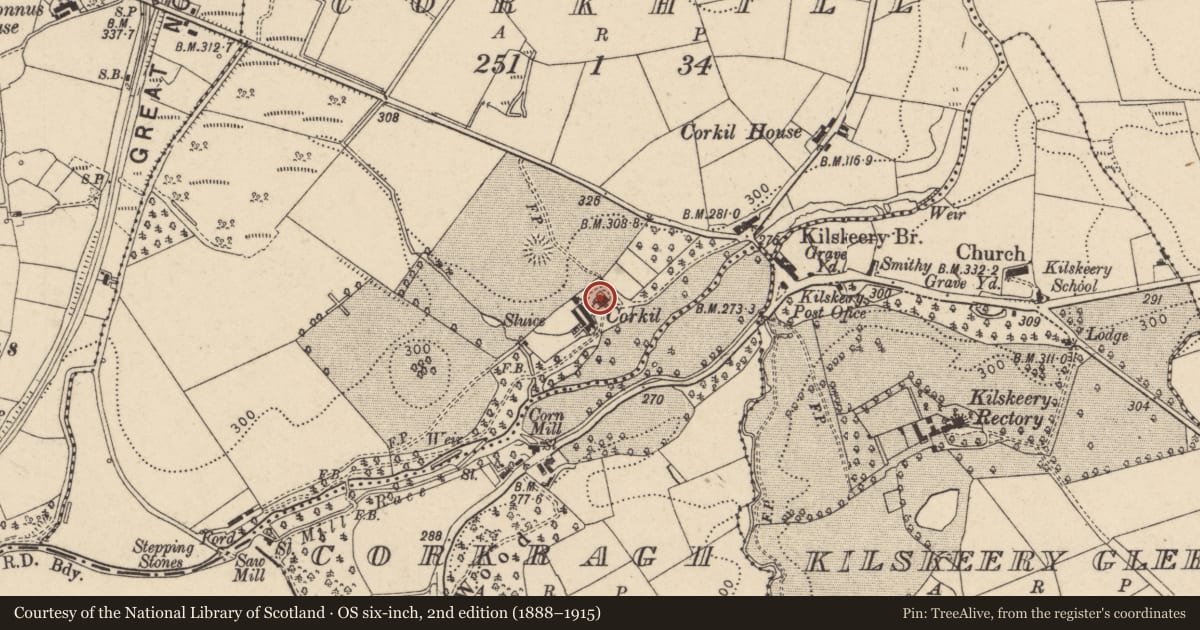 Ordnance Survey six-inch map, 2nd edition (1888–1915) covering the location of Corkill House, Fermanagh and Omagh, with a pin at the register's coordinates