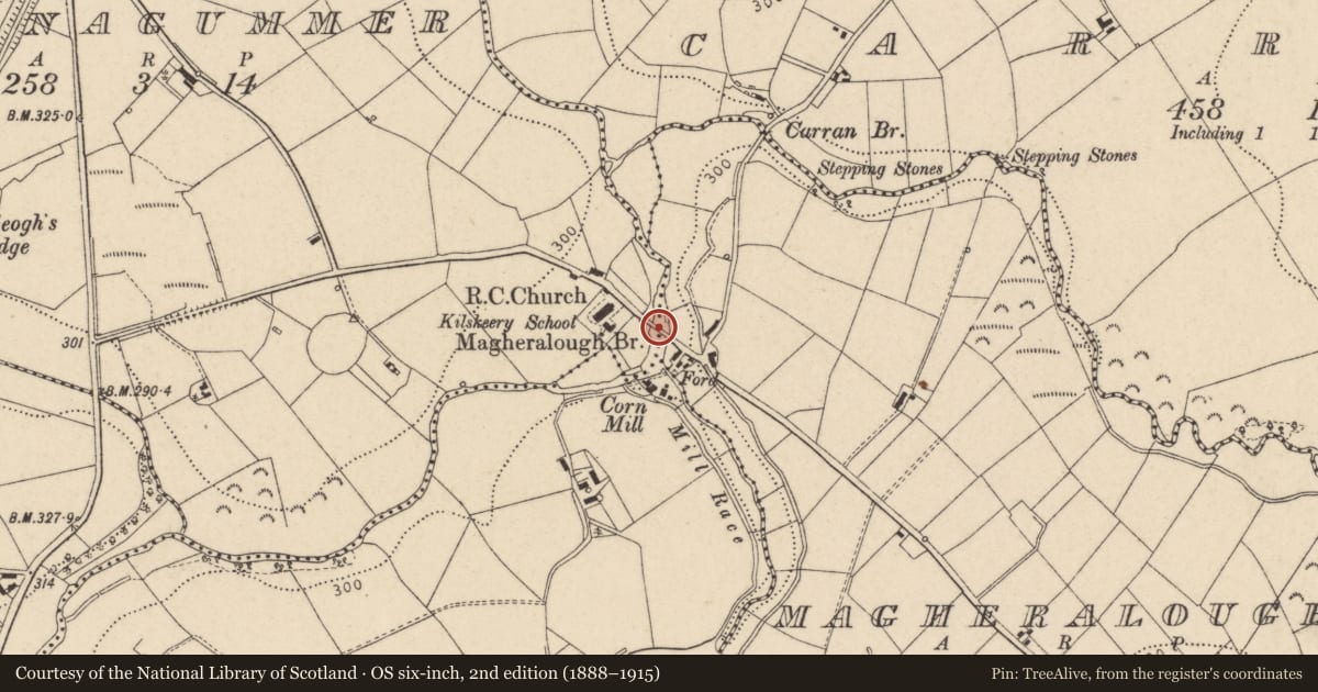Ordnance Survey six-inch map, 2nd edition (1888–1915) covering the location of Magheralough Bridge, Magheralough Road, Trillick, Co Tyrone, Fermanagh and Omagh, with a pin at the register's coordinates
