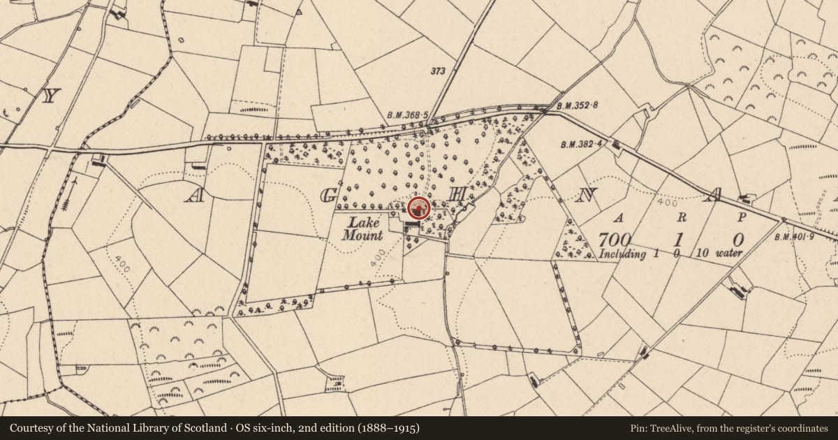 Ordnance Survey six-inch map, 2nd edition (1888–1915) covering the location of Lake Mount, Aghnamore Road, Trillick, Co Tyrone BT78 3PQ, Fermanagh and Omagh, with a pin at the register's coordinates