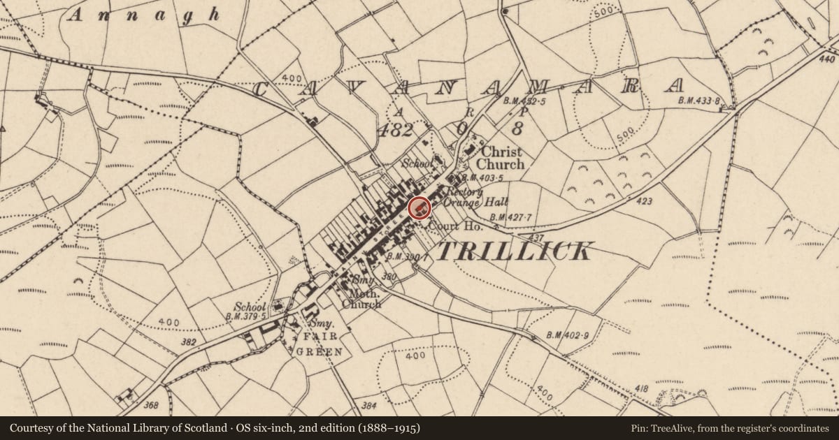 Ordnance Survey six-inch map, 2nd edition (1888–1915) covering the location of 16 Main Street, Trillick, Co Tyrone BT78 3SU, Fermanagh and Omagh, with a pin at the register's coordinates