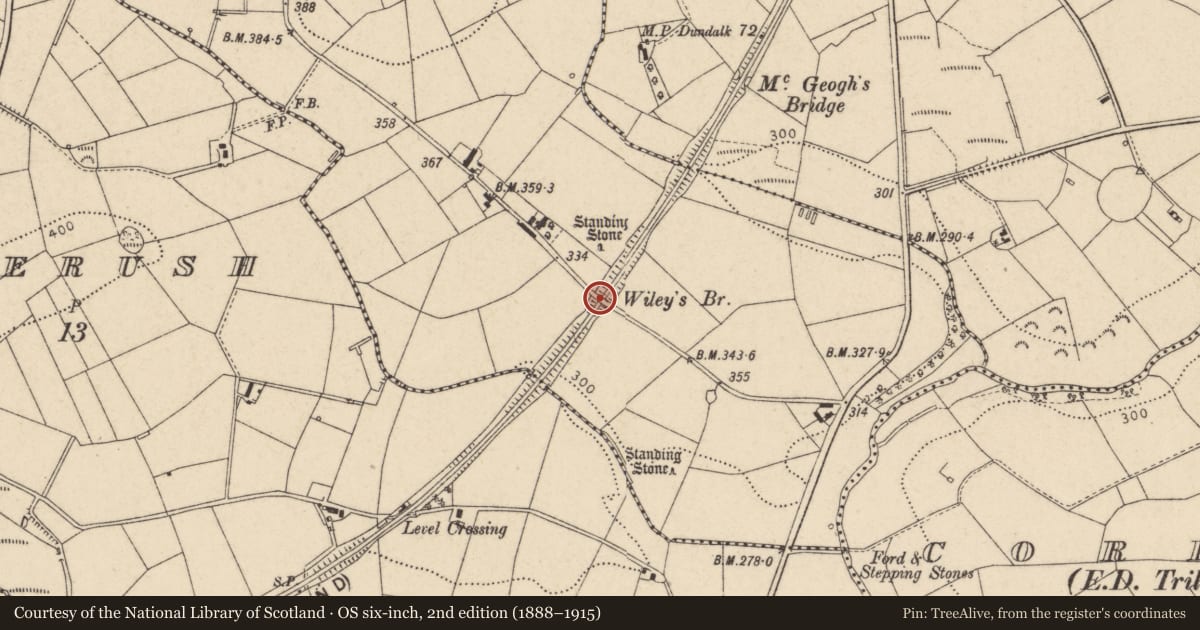 Ordnance Survey six-inch map, 2nd edition (1888–1915) covering the location of Wiley's Bridge, Lisnahanna Road, Kilskeery, Trillick, Omagh, Co Tyrone BT78 3RR, Fermanagh and Omagh, with a pin at the register's coordinates