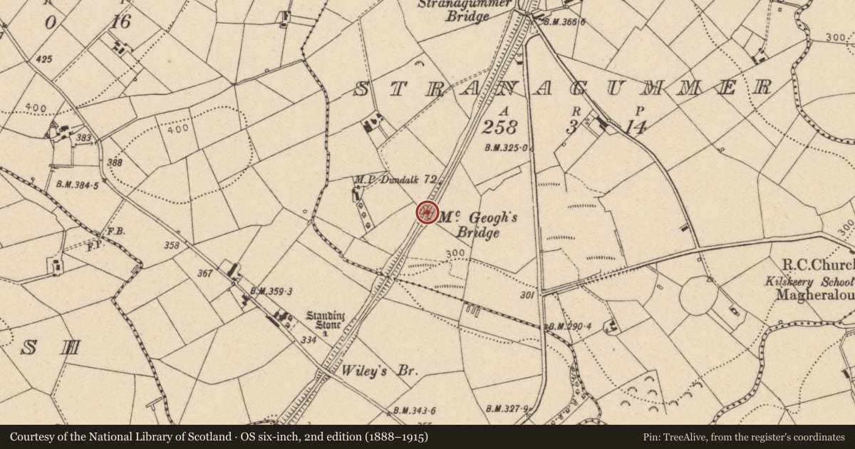 Ordnance Survey six-inch map, 2nd edition (1888–1915) covering the location of McGeough's Bridge, Stranagummer TD, Trillick, Co Tyrone, Fermanagh and Omagh, with a pin at the register's coordinates
