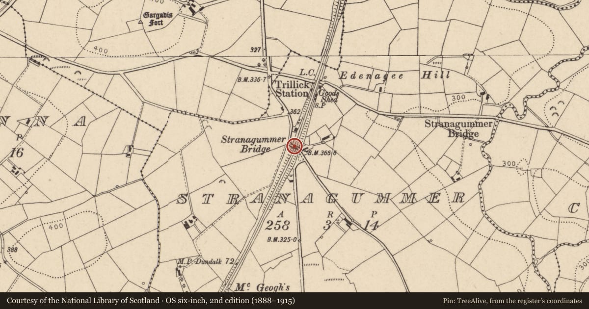 Ordnance Survey six-inch map, 2nd edition (1888–1915) covering the location of Stranagummer Bridge, Magheralough Road, Kilskeery, Trillick, Omagh, Co Tyrone BT78 3RP, Fermanagh and Omagh, with a pin at the register's coordinates