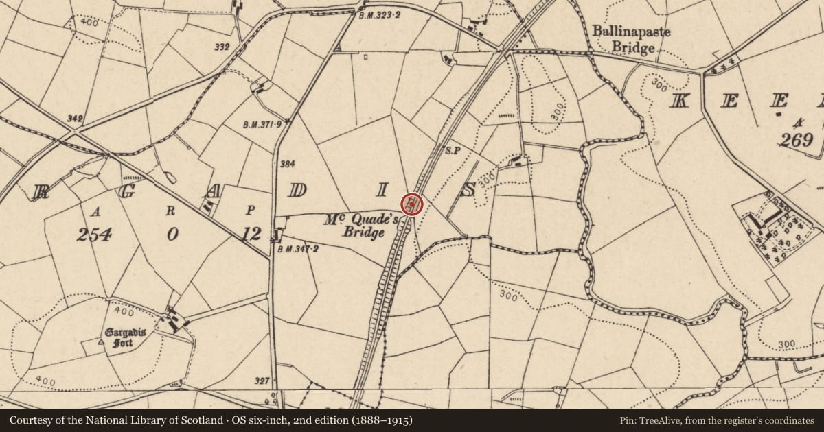 Ordnance Survey six-inch map, 2nd edition (1888–1915) covering the location of McQuades Bridge, Gargadis TD, Trillick, Co Tyrone, Fermanagh and Omagh, with a pin at the register's coordinates