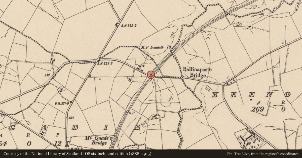 Ordnance Survey six-inch map, 2nd edition (1888–1915) covering the location of Ballinapaste Bridge, Gargadis TD, Trillick, Co Tyrone, Fermanagh and Omagh, with a pin at the register's coordinates