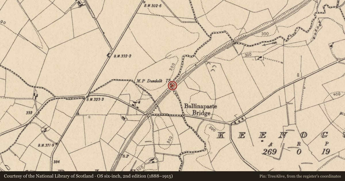 Ordnance Survey six-inch map, 2nd edition (1888–1915) covering the location of Bridge No. 6, Keenogue TD/Moorfield TD, Trillick, Co Tyrone, Fermanagh and Omagh, with a pin at the register's coordinates