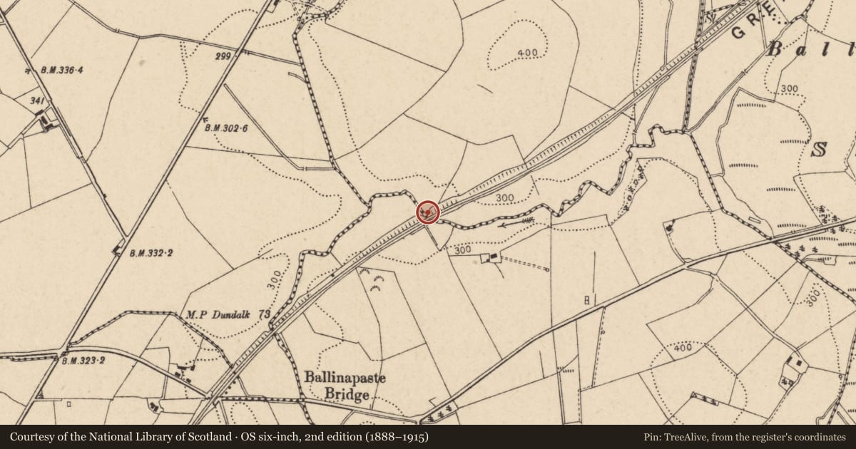 Ordnance Survey six-inch map, 2nd edition (1888–1915) covering the location of Bridge No.7, Keenogue TD/Druminnion TD, Trillick, Co Tyrone, Fermanagh and Omagh, with a pin at the register's coordinates