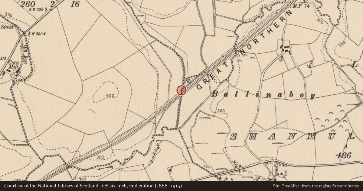 Ordnance Survey six-inch map, 2nd edition (1888–1915) covering the location of Bridge No.8, Shanmullagh East TD/Drumminnion TD, Trillick, Co Tyrone, Fermanagh and Omagh, with a pin at the register's coordinates